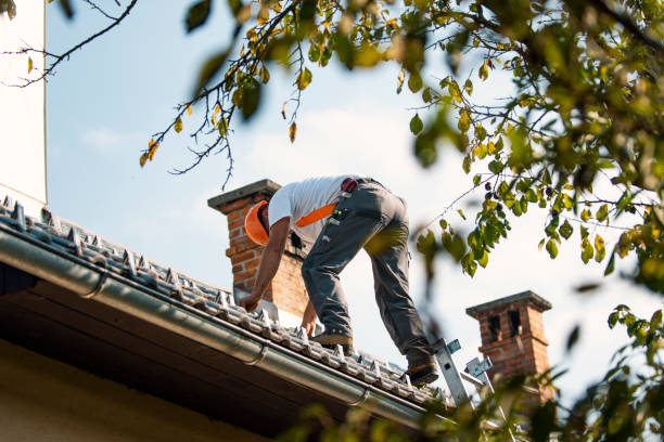 Best Gutter Installation and Roofing  in New Franklin, MO